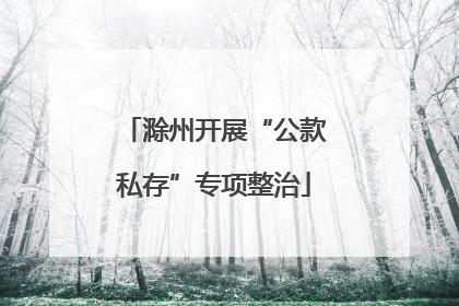 滁州开展“公款私存”专项整治
