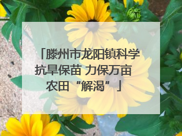 滕州市龙阳镇科学抗旱保苗 力保万亩农田“解渴”