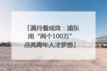 满月看成效：浦东用“两个100万”点亮青年人才梦想