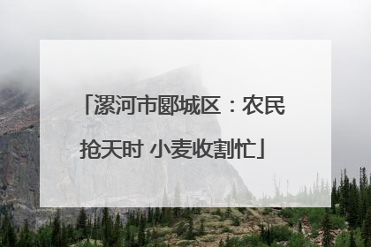 漯河市郾城区：农民抢天时 小麦收割忙