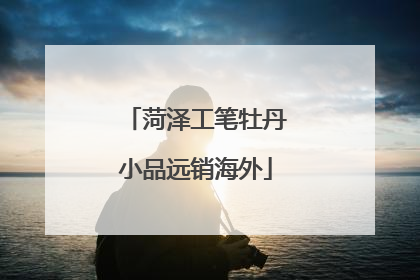 菏泽工笔牡丹小品远销海外