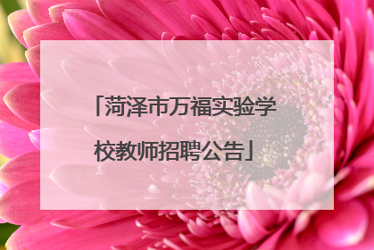 菏泽市万福实验学校教师招聘公告
