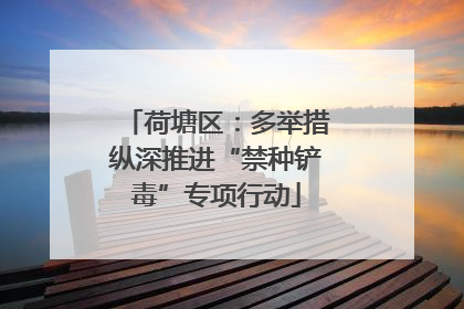 荷塘区：多举措纵深推进“禁种铲毒”专项行动