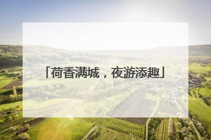 荷香满城，夜游添趣