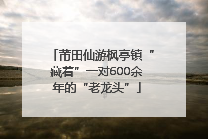 莆田仙游枫亭镇“藏着”一对600余年的“老龙头”
