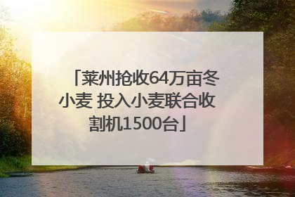莱州抢收64万亩冬小麦 投入小麦联合收割机1500台