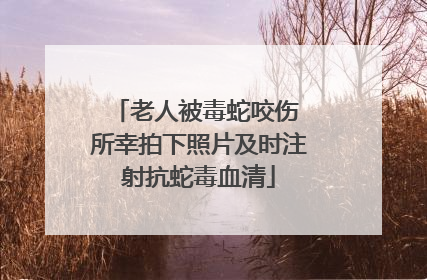 老人被毒蛇咬伤 所幸拍下照片及时注射抗蛇毒血清