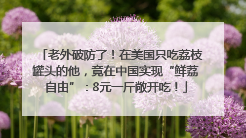 老外破防了！在美国只吃荔枝罐头的他，竟在中国实现“鲜荔自由”：8元一斤敞开吃！