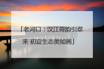 老河口：汉江荷韵引翠来 初夏生态美如画
