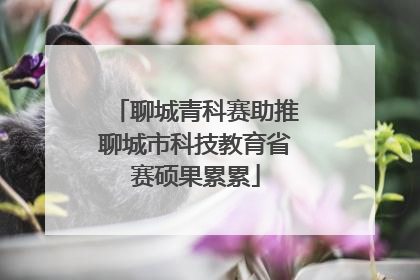 聊城青科赛助推聊城市科技教育省赛硕果累累