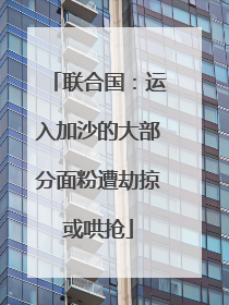 联合国：运入加沙的大部分面粉遭劫掠或哄抢