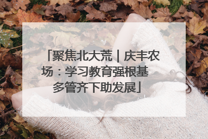 聚焦北大荒｜庆丰农场：学习教育强根基 多管齐下助发展