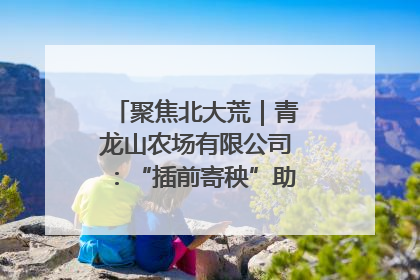 聚焦北大荒｜青龙山农场有限公司：“插前寄秧”助力农业节本增效