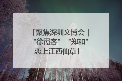 聚焦深圳文博会｜“徐霞客”“郑和”恋上江西仙草