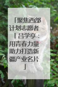 聚焦西部计划志愿者丨吕学亨：用青春力量助力打造新疆产业名片
