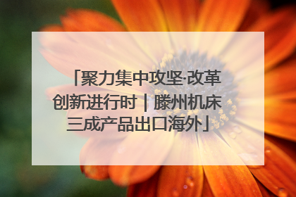 聚力集中攻坚·改革创新进行时｜滕州机床三成产品出口海外