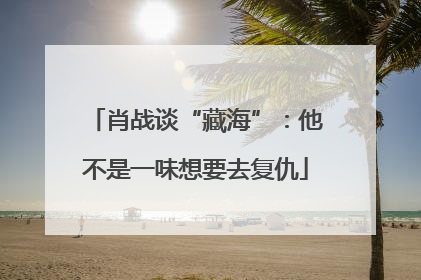 肖战谈“藏海”：他不是一味想要去复仇