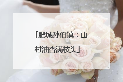 肥城孙伯镇：山村油杏满枝头