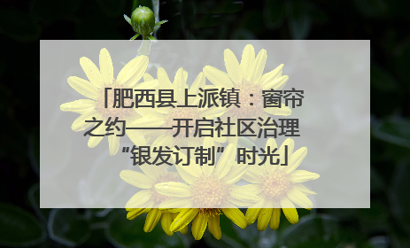 肥西县上派镇：窗帘之约——开启社区治理“银发订制”时光