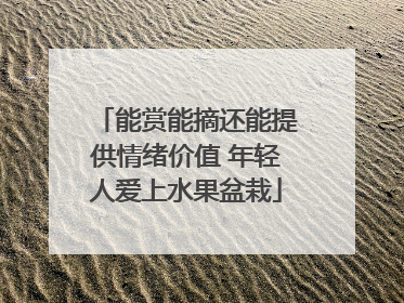 能赏能摘还能提供情绪价值 年轻人爱上水果盆栽