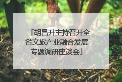 胡昌升主持召开全省文旅产业融合发展专题调研座谈会