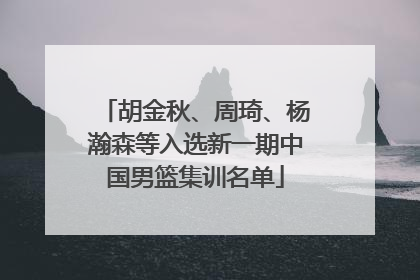 胡金秋、周琦、杨瀚森等入选新一期中国男篮集训名单