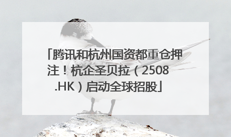 腾讯和杭州国资都重仓押注！杭企圣贝拉（2508.HK）启动全球招股