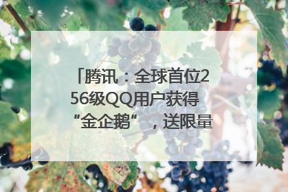 腾讯：全球首位256级QQ用户获得“金企鹅”，送限量版神秘惊喜等礼物