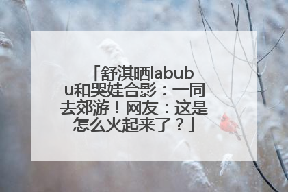 舒淇晒labubu和哭娃合影：一同去郊游！网友：这是怎么火起来了？