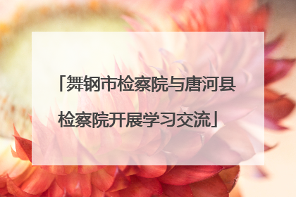 舞钢市检察院与唐河县检察院开展学习交流