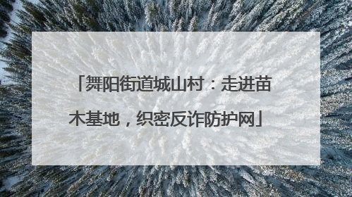 舞阳街道城山村：走进苗木基地，织密反诈防护网