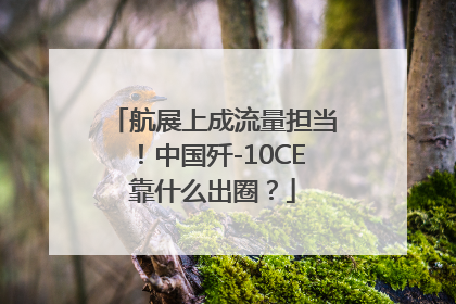 航展上成流量担当！中国歼-10CE靠什么出圈？