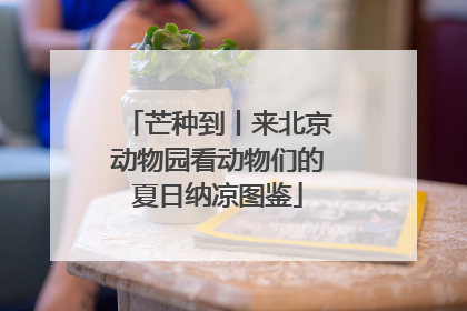 芒种到丨来北京动物园看动物们的夏日纳凉图鉴