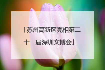 苏州高新区亮相第二十一届深圳文博会