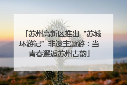 苏州高新区推出“苏城环游记”非遗主题游：当青春邂逅苏州古韵