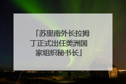 苏里南外长拉姆丁正式出任美洲国家组织秘书长