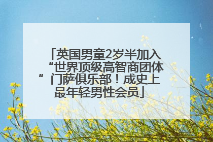 英国男童2岁半加入“世界顶级高智商团体”门萨俱乐部！成史上最年轻男性会员