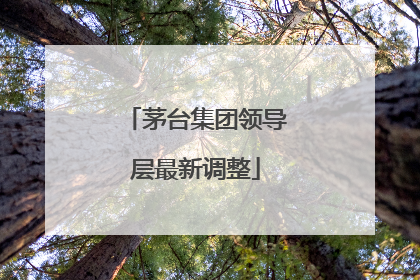 茅台集团领导层最新调整