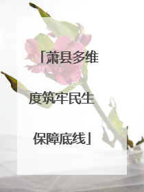 萧县多维度筑牢民生保障底线