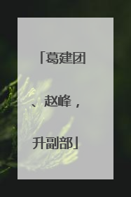 葛建团、赵峰，升副部