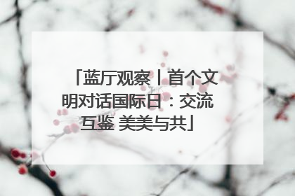 蓝厅观察丨首个文明对话国际日：交流互鉴 美美与共