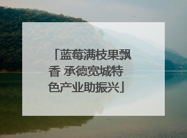 蓝莓满枝果飘香 承德宽城特色产业助振兴