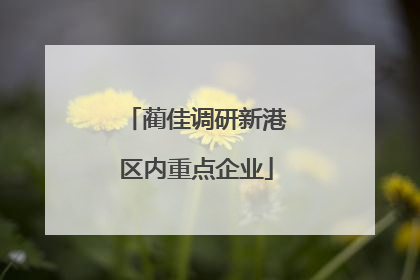 蔺佳调研新港区内重点企业