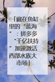 藏在鱼缸里的“蓝海”：拼多多“千亿扶持”加速激活西部水族大市场