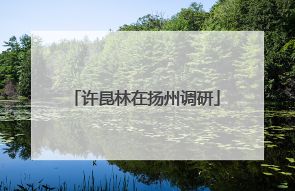 许昆林在扬州调研