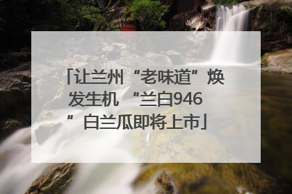 让兰州“老味道”焕发生机 “兰白946”白兰瓜即将上市