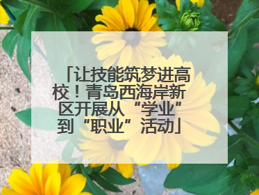 让技能筑梦进高校！青岛西海岸新区开展从“学业”到“职业”活动