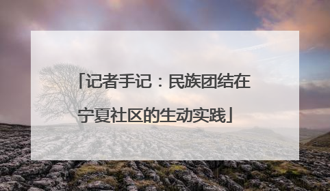 记者手记：民族团结在宁夏社区的生动实践