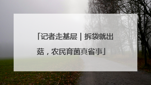 记者走基层｜拆袋就出菇，农民育菌真省事