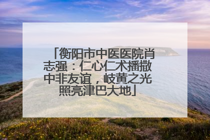 衡阳市中医医院肖志强：仁心仁术播撒中非友谊，岐黄之光照亮津巴大地